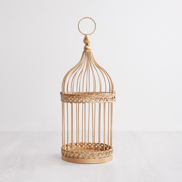 Splendid Bird Cage
