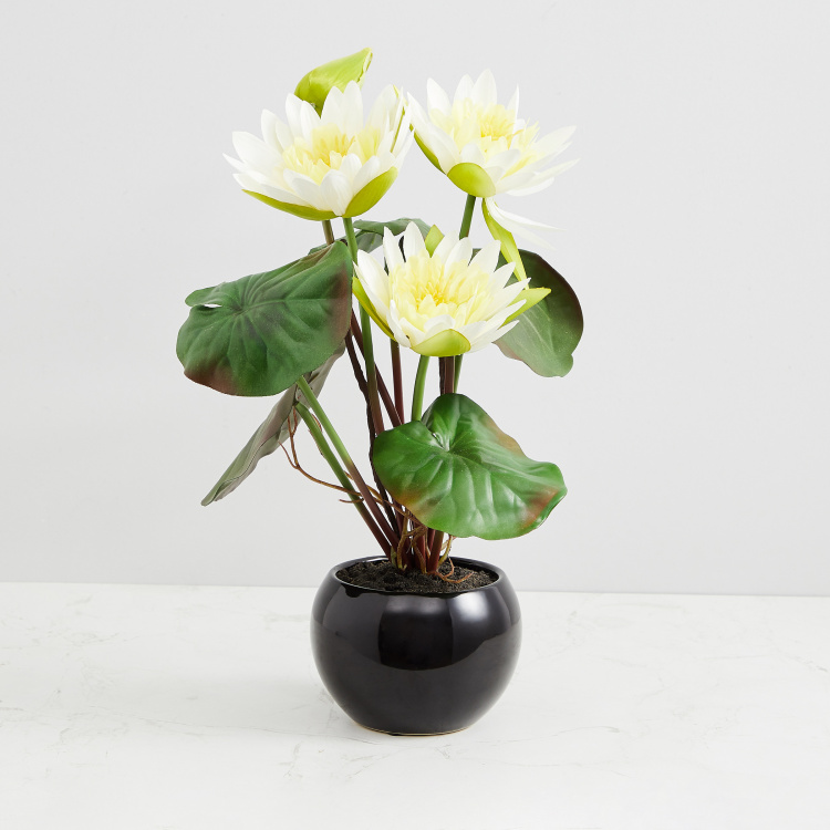 Gardenia Solid Floor Four Head Lotus in Ceramic pot : 12 cm x 12 cm x 40 cm - White