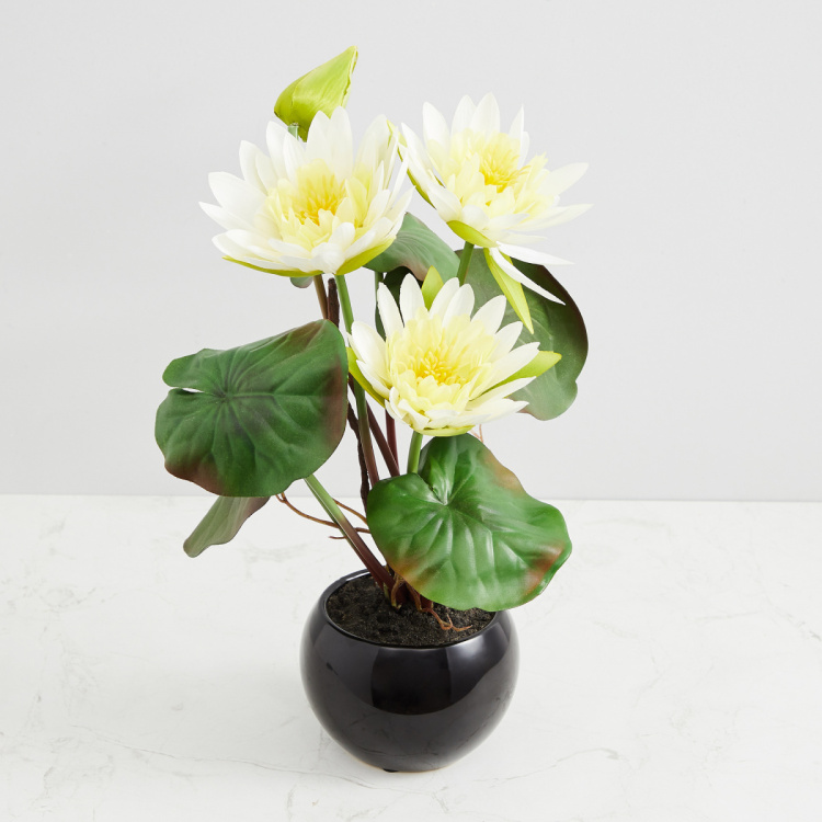 Gardenia Solid Floor Four Head Lotus in Ceramic pot : 12 cm x 12 cm x 40 cm - White