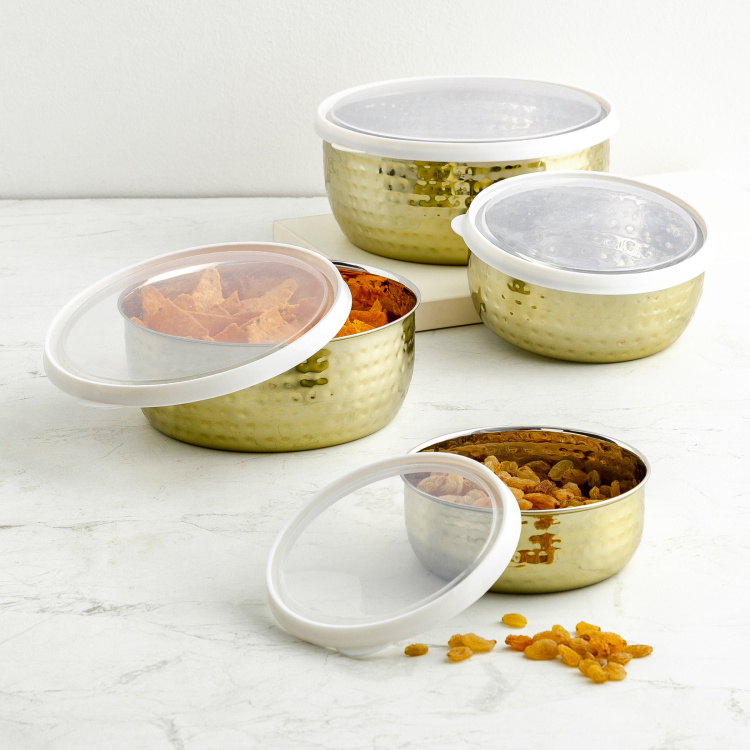 Shale-Orlean 4-Piece Food Storage Container Set with Lids