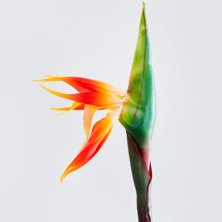 Botanical Flower Single Pc. Artificial Garden Flower-Bird Of Paradise-Plastic - Multicolour