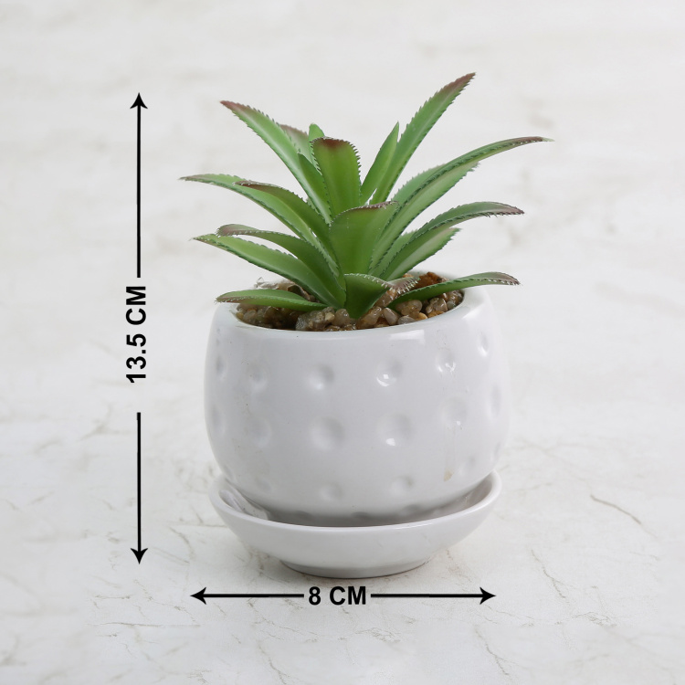 Gardenia Artificial Bonsai with a Ceramic Pot