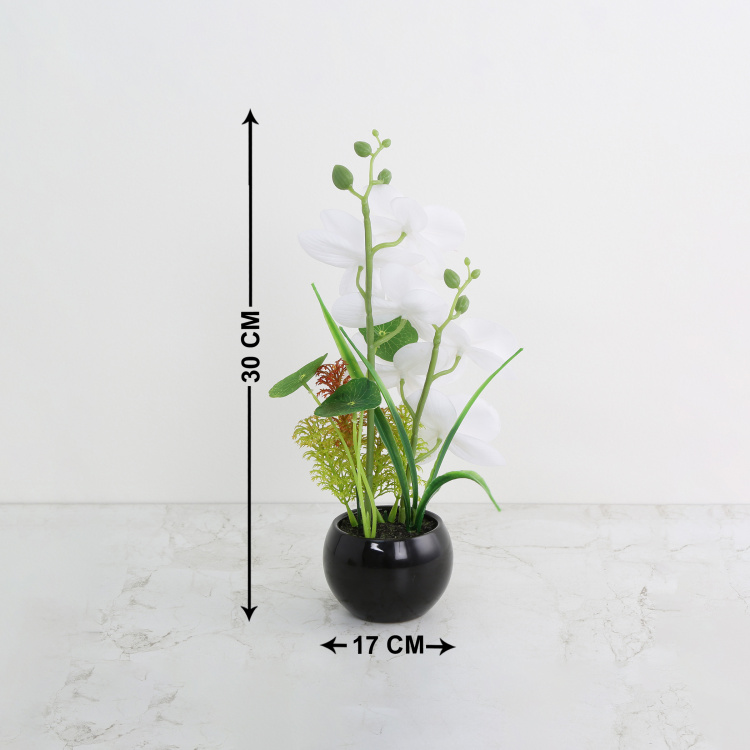 Gardenia Single Pc. Artificial Flower in Pot - Otchid-Plastic - White