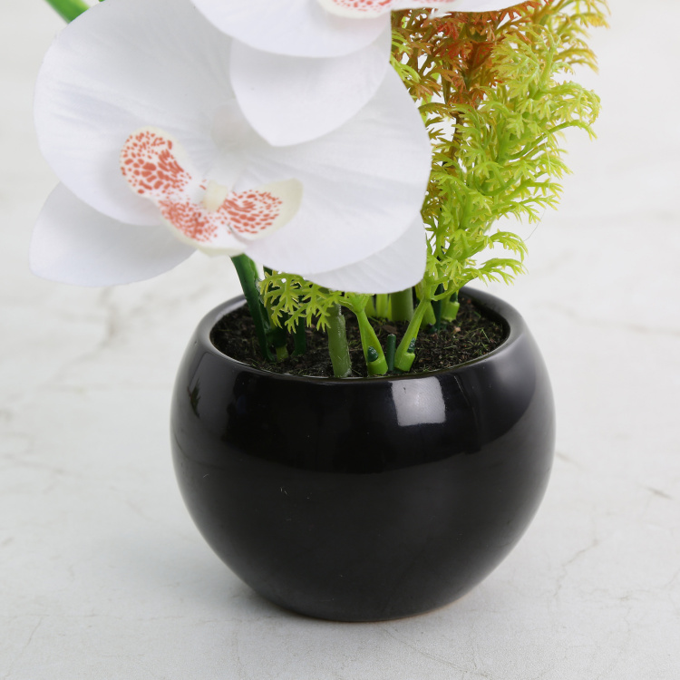 Gardenia Orchid Artificial Flower in Pot