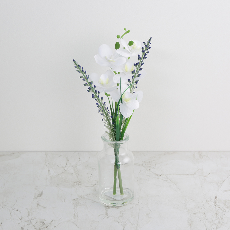 Gardenia Plastic Artificial Orchid in Clear Vase - 30 cm x 10 cm