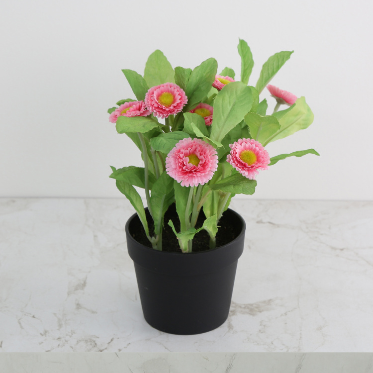 Gardenia Aster Artificial Flowers in Pot