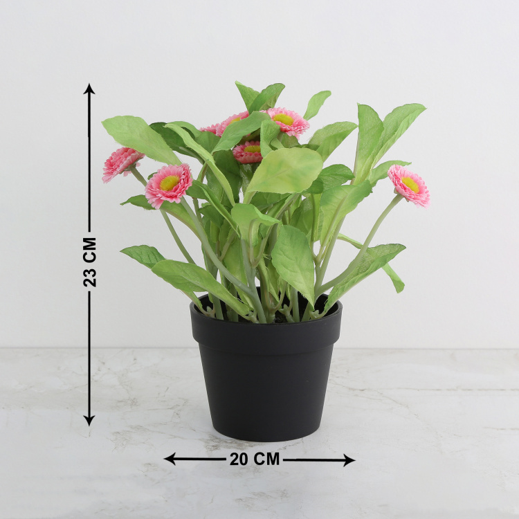 Gardenia  Plastic - Artificial Aster in Pot : 20 cm  L x 23 cm  H - Pink